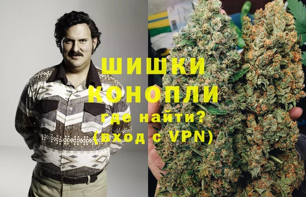 PSILOCYBIN Балабаново